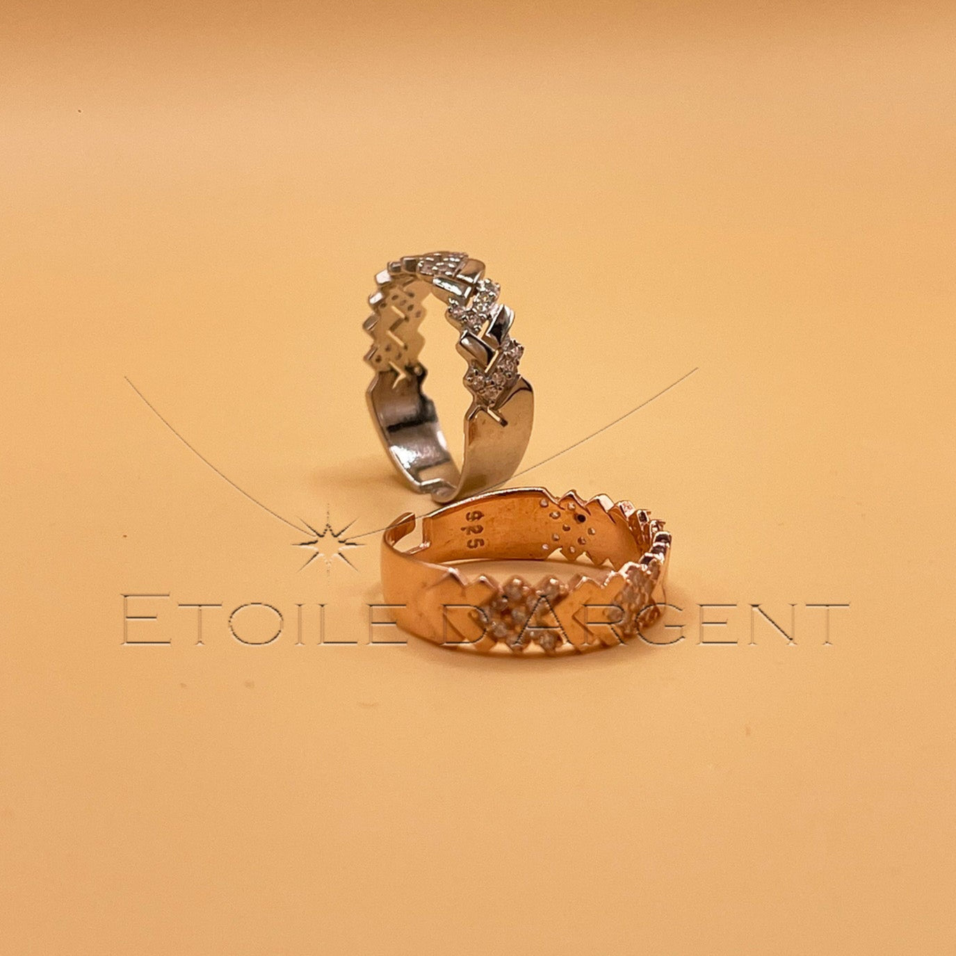 Une Étoile Argentée Qui Illumine Votre Élégance