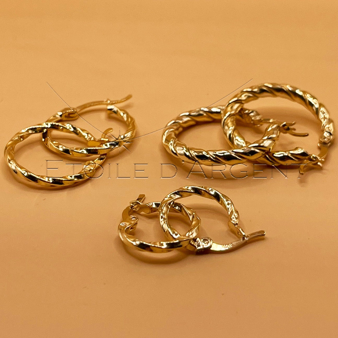 Boucles d'Oreilles Un Design Élégant et Raffiné