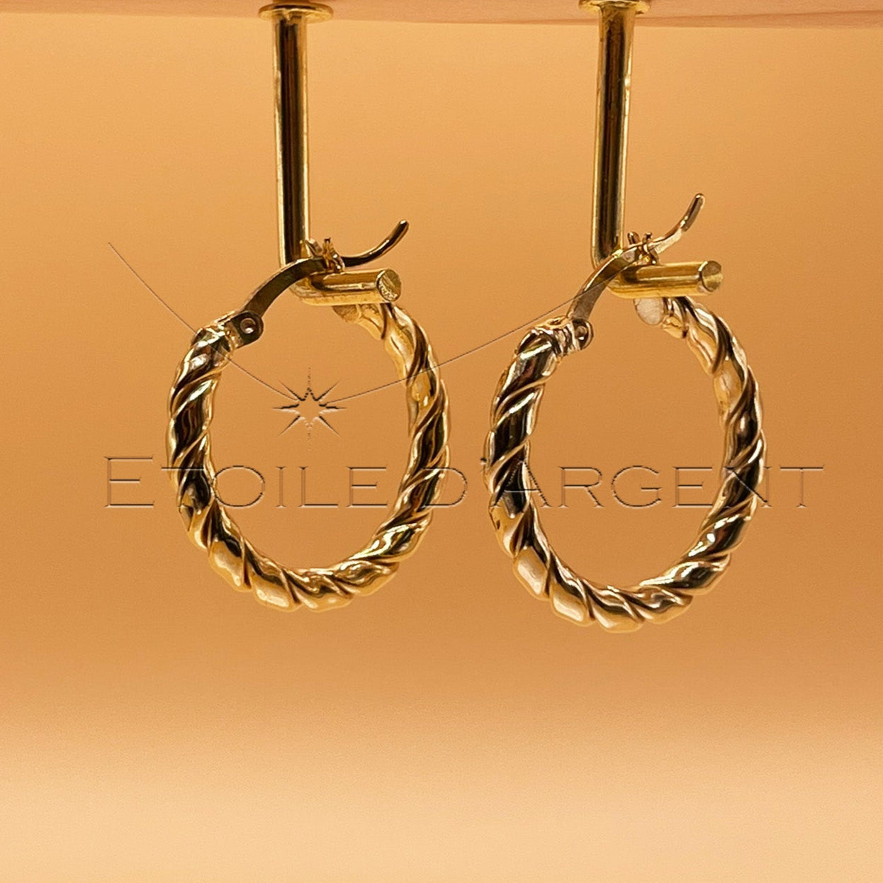 Boucles d'Oreilles Un Design Élégant et Raffiné