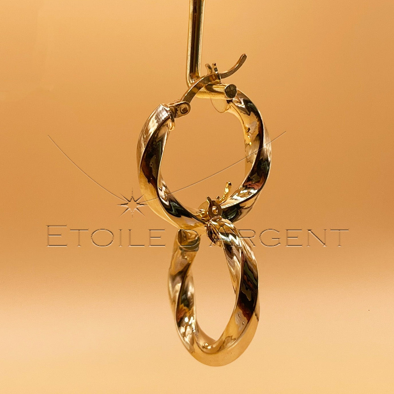 Boucles d'oreilles torsadées