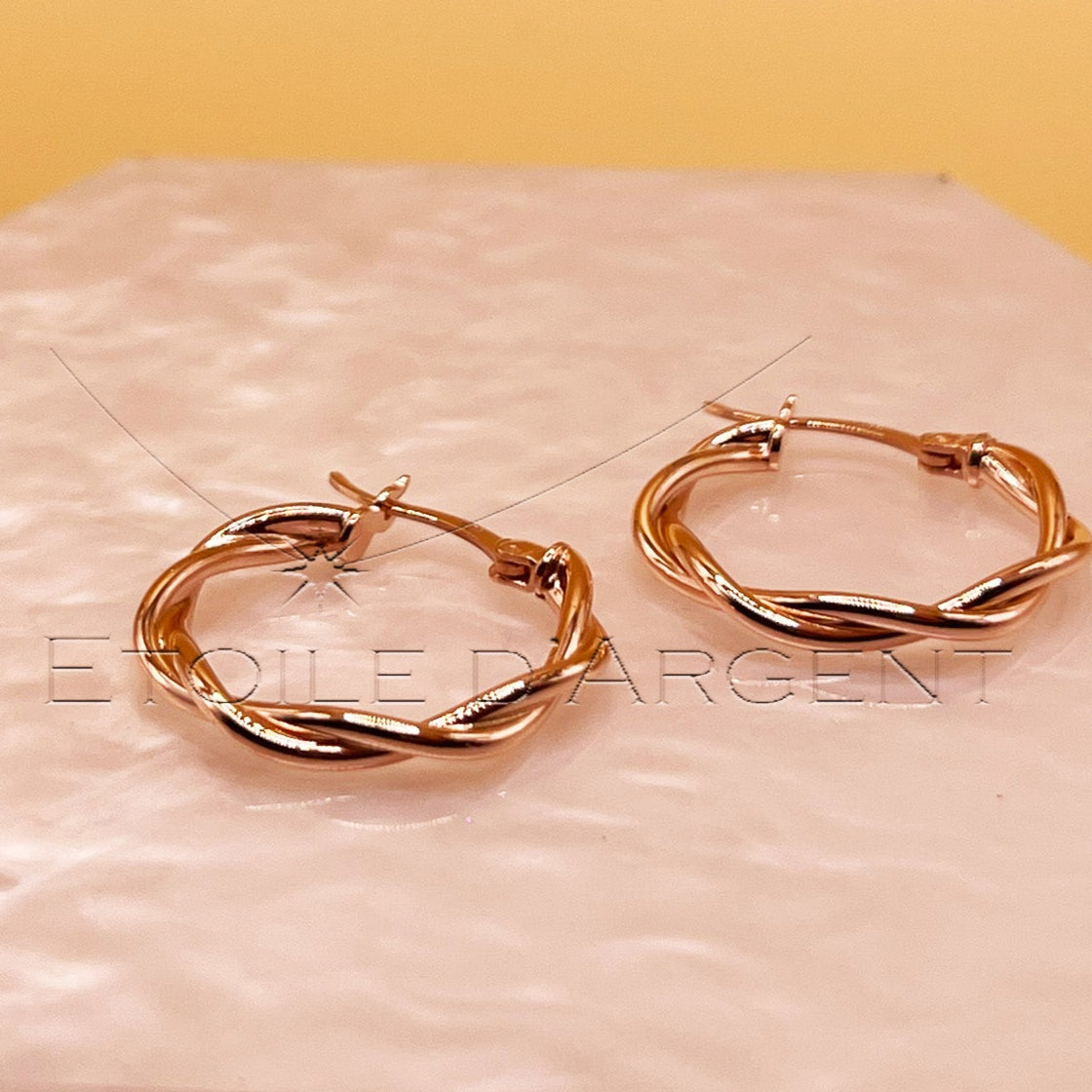 Boucles d'oreilles "Torsades d'argent élégantes"