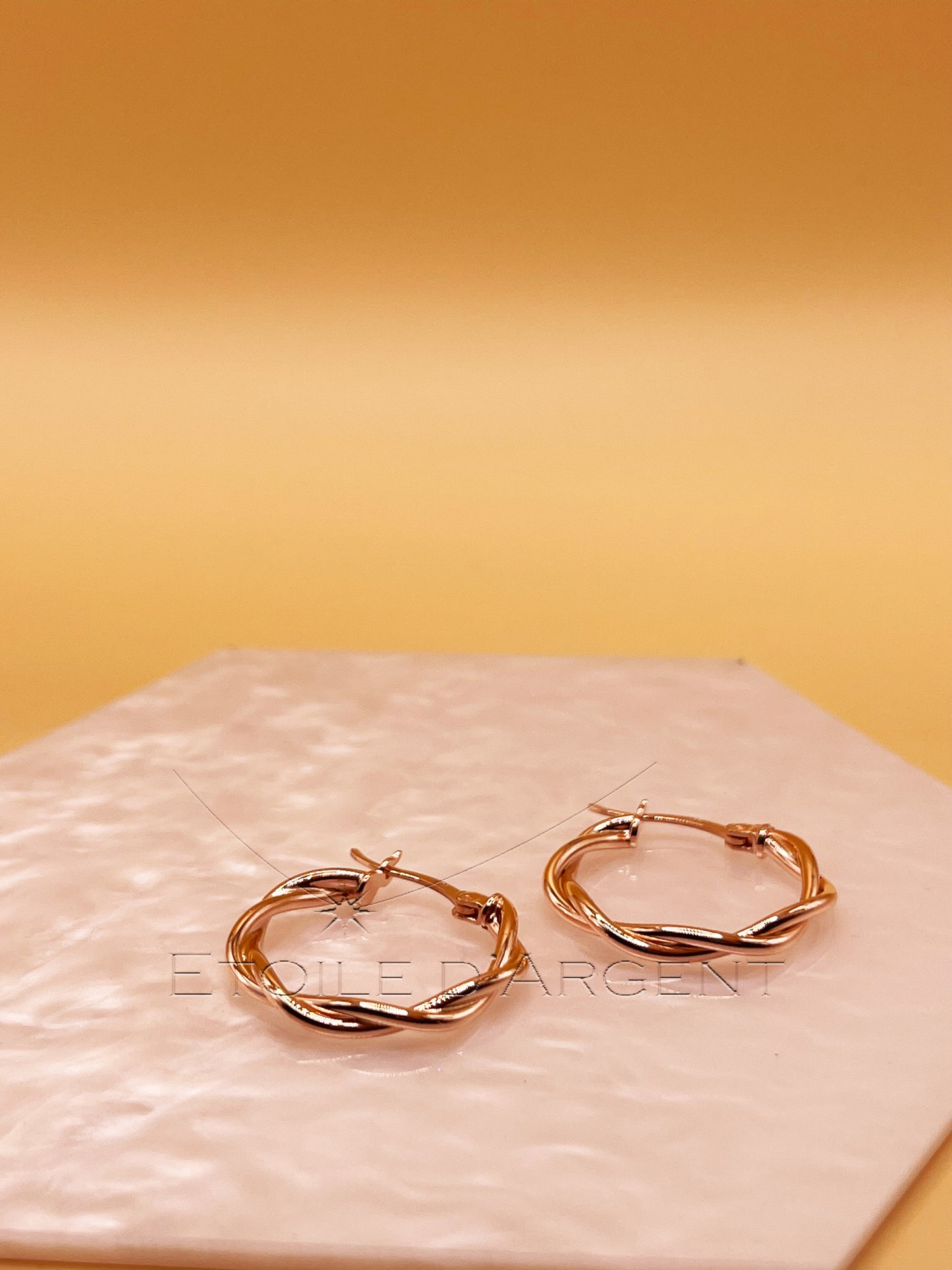 Boucles d'oreilles "Torsades d'argent élégantes"