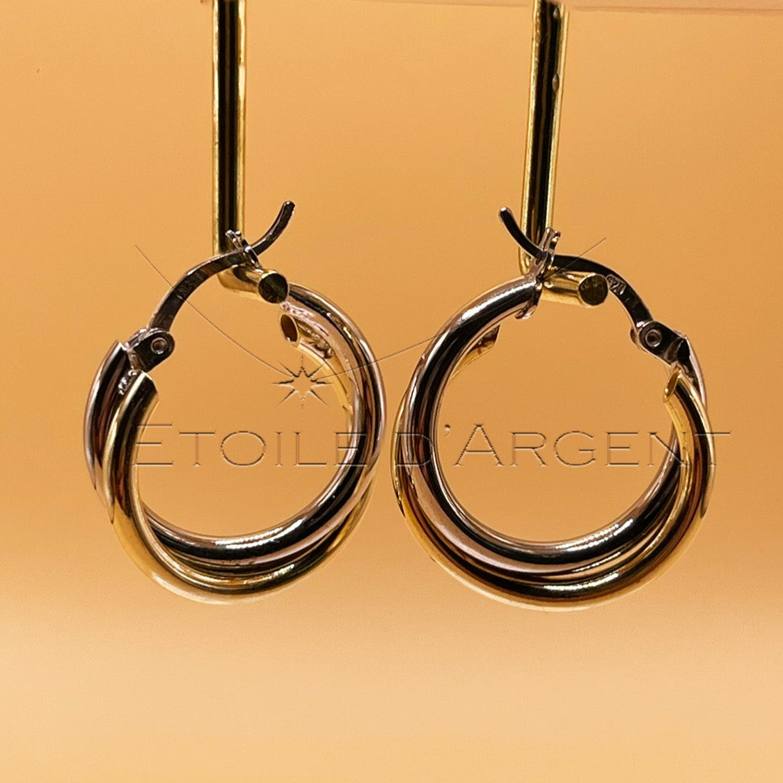 Luxueuses Créoles Bicolores